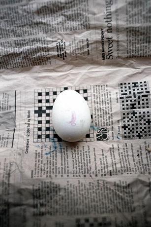 Egg